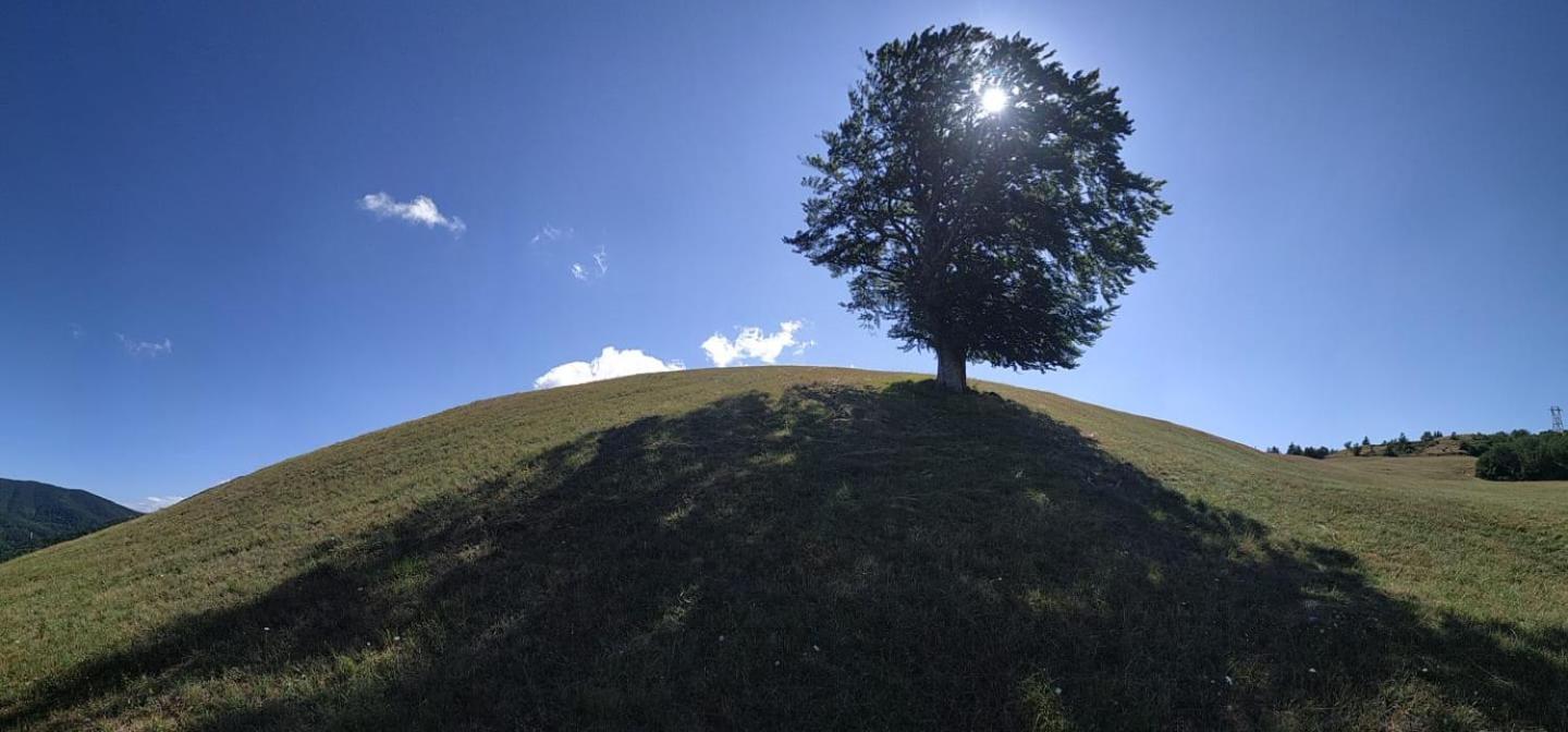 La Vecchia Stalla Castiglione dei Pepoli Buitenkant foto